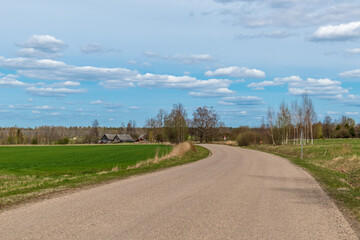 Fototapeta na wymiar Spring Road. Green cereal fields and white clouds in blue skies.