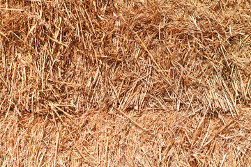 Close up of golden hay formed into bale