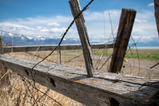 Old barbed wire fence