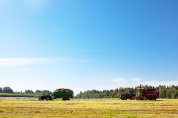 Fototapeta na wymiar Hay harvesting in the field.