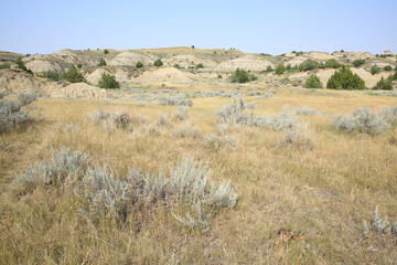 Theodore Roosevelt National Park in North Dakota, USA