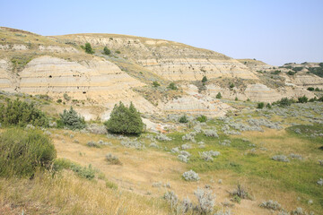 Thodore Roosevelt National Park in North Daktoa, USA