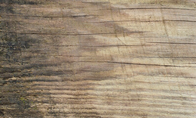 Obraz premium Wood texture background surface old natural pattern one side of which is wet
