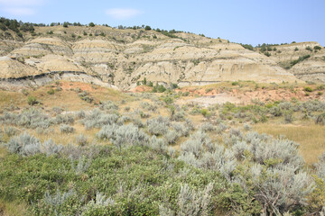 Theodore Roosevelt National Park in North Dakota, USA