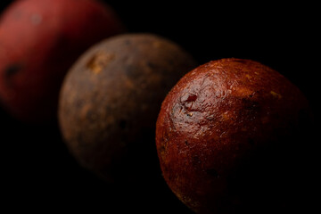 Protein balls for fishing carps of different colors on a black background. - obrazy, fototapety, plakaty