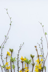 Spring frame from twigs with first leaves and flowers. On a white background.