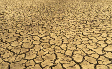 Mudflat cracked desert barren surface for natural background, layer, wallpaper, photo effect. Multicoloured drought effects of global warming