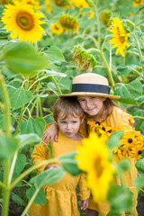 girl in sunflowers. Cute child with sunflower