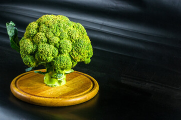 Fantasy mini landscape - tree made with broccoli on a black background, simulating a miniature forest. Concept nature, ecologic, healthy life and vegan food