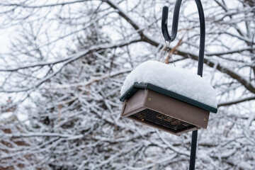 Upside Down Bird Suet Feeder Covered with Snow