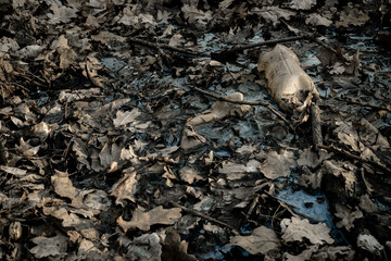 Plastic garbage trash in forest woodland. Rubbish waste in environment. Empty used dirty bottles in the concept of nature conservation from pollution. Ecology concept.