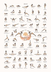 Hand drawn poster of hatha yoga poses and their names, Iyengar yoga asanas difficulty levels 16-60 - 431797967