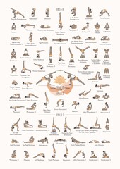 Hand drawn poster of hatha yoga poses and their names, Iyengar yoga asanas difficulty levels 6-15 - obrazy, fototapety, plakaty