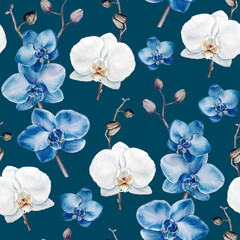 Hand painted watercolor seamless pattern with delicate floral illustration of phalaenopsis orchids on blue background. Ideal design for dresses, summer clothes, wrapping paper, postcards, invitations - obrazy, fototapety, plakaty