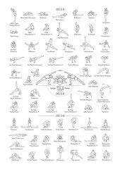 Hand drawn poster of hatha yoga poses and their names, Iyengar yoga asanas difficulty levels 16-60 - 431798114