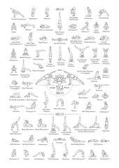 Hand drawn poster of hatha yoga poses and their names, Iyengar yoga asanas difficulty levels 6-15 - 431798137