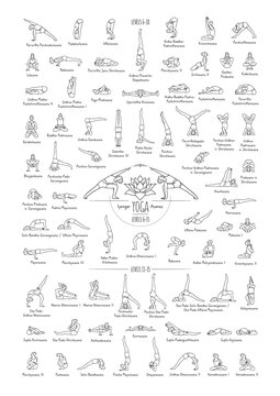 Hand drawn poster of hatha yoga poses and their names, Iyengar yoga asanas difficulty levels 6-15