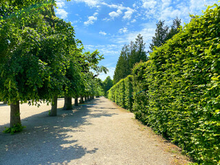 walk in the park, schlosspark schönbrunn, parks in wien, schlosspark, schlossgarten park, park schotterweg