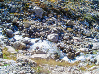 Mountain stream on a summer day