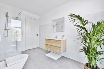 Interior of light restroom with potted plant and flush toilet near shower and sink in modern...