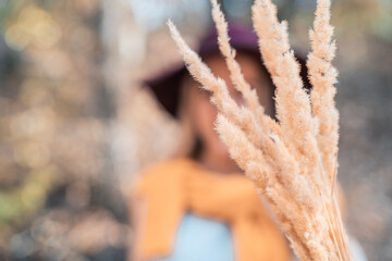 A beautiful young girl. Portrait in the forest