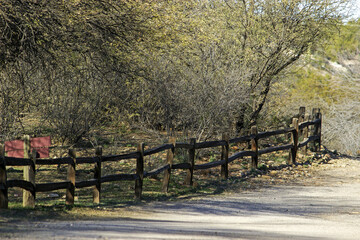 Hassayampa River Preserve