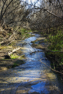 Hassayampa River Preserve