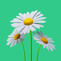 Chamomile or camomile flowers icon 3d illustration isolated on shiny green background. 3d rendering high quality illustration