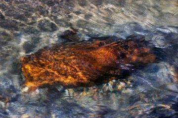 Hassayampa River Preserve