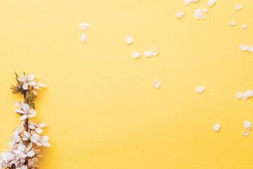 Spring background pink with flower blossom and April floral nature in beautiful scene with blooming tree. Easter Sunny day. Orchard abstract blurred background. Springtime.