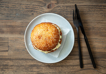 fresh tasty burger