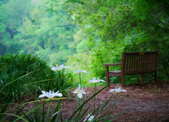 bench in the park