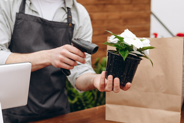 Cropped photo of saler scanning bar code of flowerpot. Flowers delivery service and sale of home plants in pots, wooden showcase.