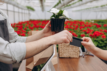 Hand offering credit card for payment at checkout in green house.