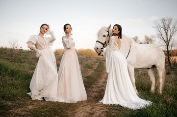 Three beautiful brides in a light dress pose. Boho style.  Photo shoot with a horse.