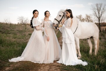 Three beautiful brides in a light dress pose. Boho style.  Photo shoot with a horse.