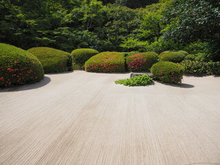 つつじの咲く日本庭園