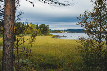 Swedish autumn fall vibrant landscape, Kurravaara in Norrbotten county, Kiruna Municipality, Northern Sweden