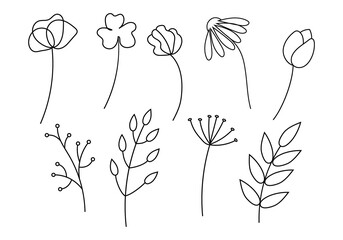 A set of nine flowers and plants in a sketch style. Vector illustration.