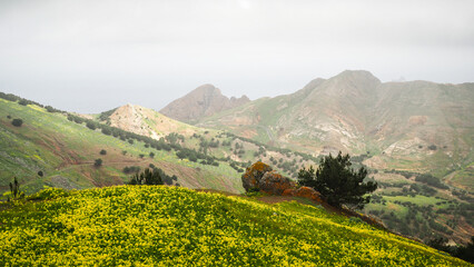 Fototapeta premium Porto Santo is a Portuguese island 43 kilometres northeast of Madeira Island in the North Atlantic Ocean.