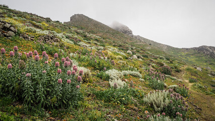 Porto Santo is a Portuguese island 43 kilometres northeast of Madeira Island in the North Atlantic Ocean.