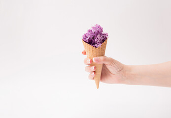 A beautiful female hand holds a cornet with purple lilac.