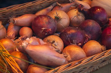 A basket of onions under a warm light.