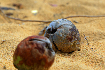 Washed Up