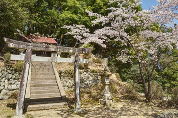 Fototapeta na wymiar 吉野山の神社