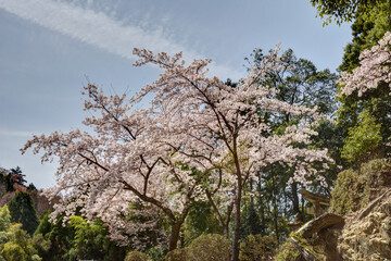吉野山の神社