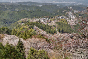 Fototapeta na wymiar 吉野山の金峯山寺
