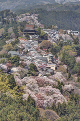 Fototapeta na wymiar 吉野山の金峯山寺