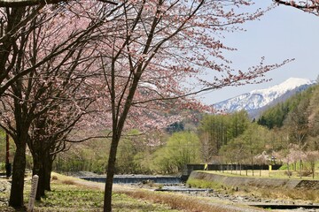 ミニ尾瀬公園・伊南川（福島県・檜枝岐村）