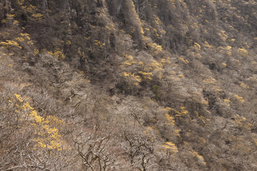 大浪池周辺の外輪山内壁
